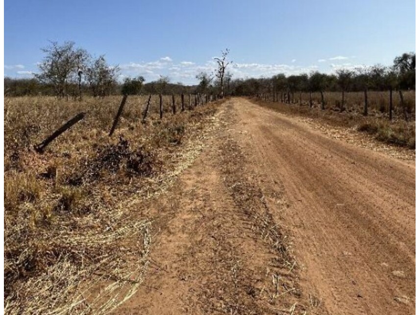 Imagem 4 do Leilão de Área Rural - Zona Rural - Riachão das Neves/BA