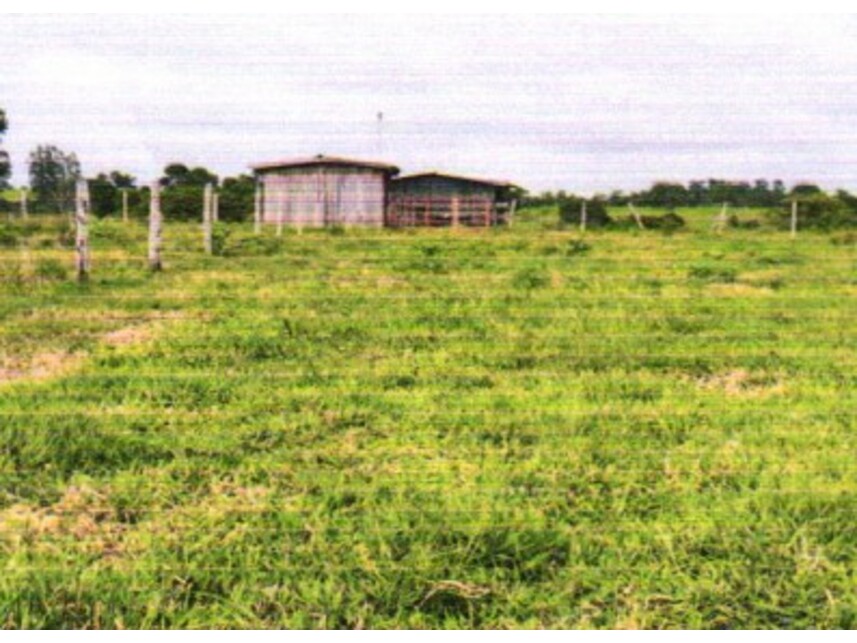 Imagem 2 do Leilão de Área Rural - Zona Rural - Colorado do Oeste/RO