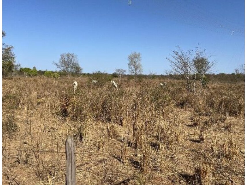 Imagem 7 do Leilão de Área Rural - Zona Rural - Riachão das Neves/BA