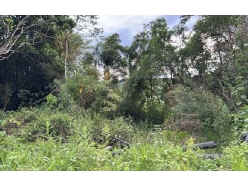 Imagem  do Leilão de Terreno - Pavão - São Roque/SP