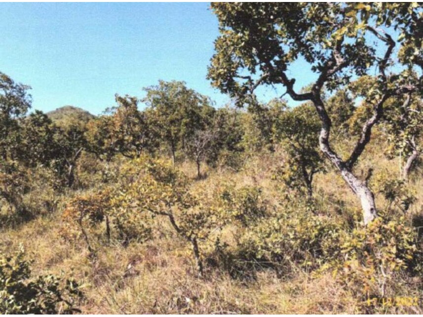 Imagem 1 do Leilão de Área Rural - Loteamento Rio Maranhão - Planaltina/GO