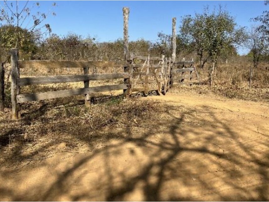 Imagem 6 do Leilão de Área Rural - Zona Rural - Riachão das Neves/BA