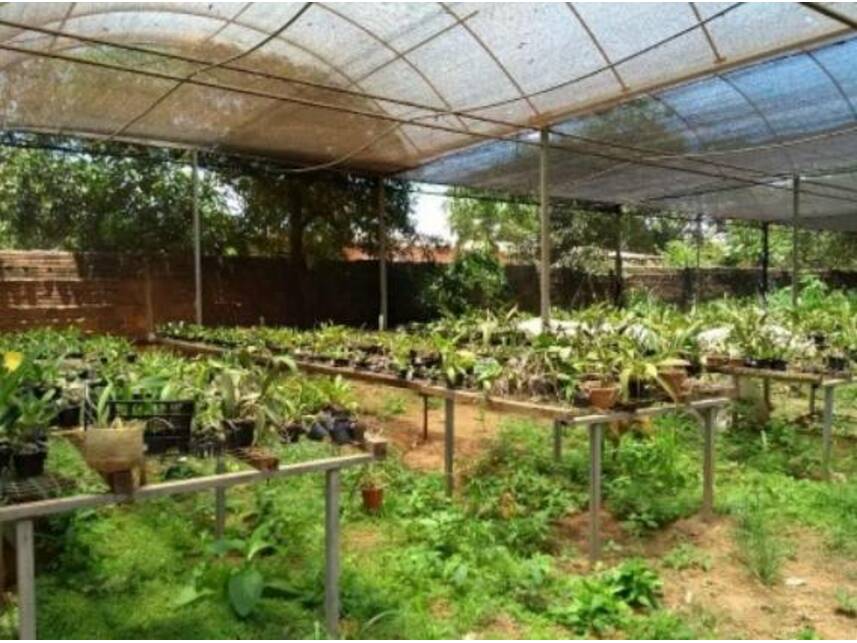 Imagem 36 do Leilão de Casa - Saúde - Guaiçara/SP