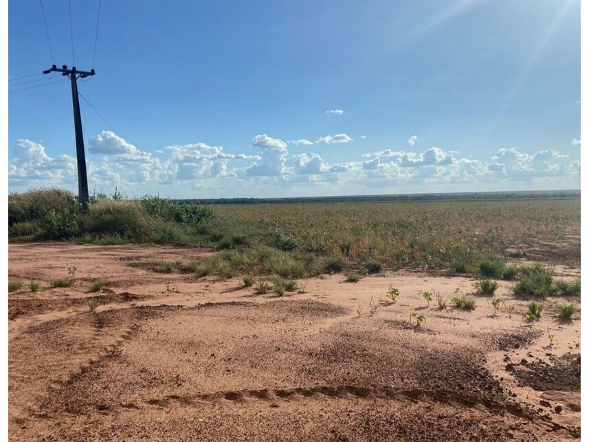 Imagem 6 do Leilão de Área Rural - Zona Rural - Nova Ubiratã/MT