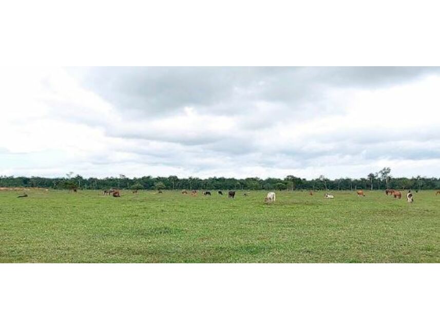 Imagem 3 do Leilão de Fazenda - Zona Rural - Vila Bela da Santíssima Trindade/MT