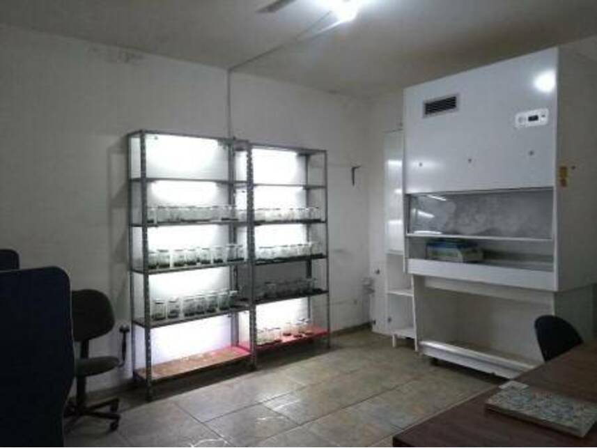 Imagem 25 do Leilão de Casa - Saúde - Guaiçara/SP
