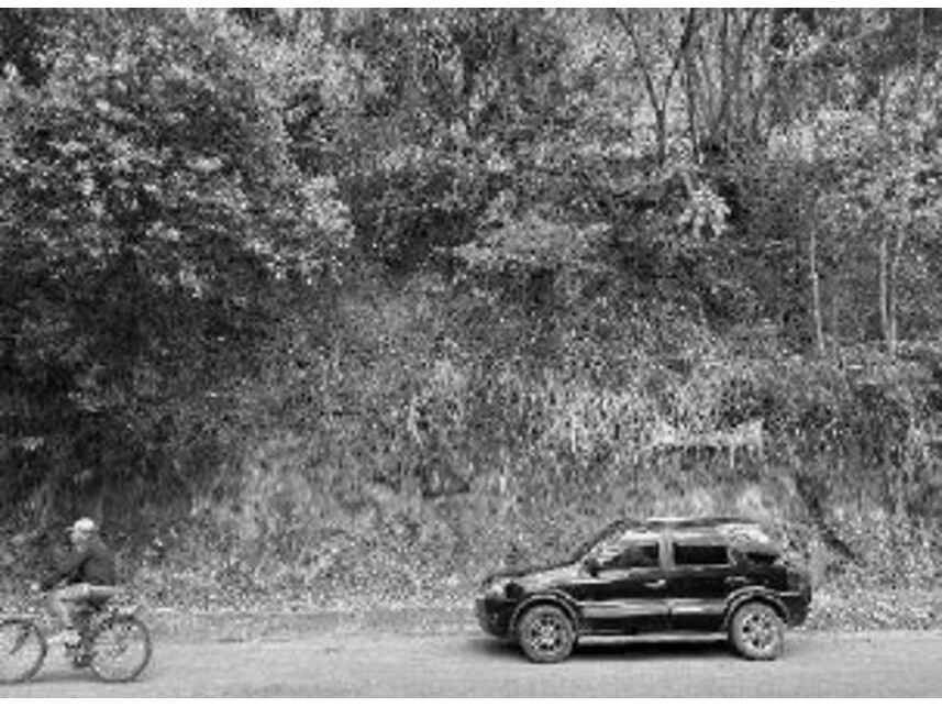 Imagem 1 do Leilão de Terreno - Triângulo - Carangola/MG