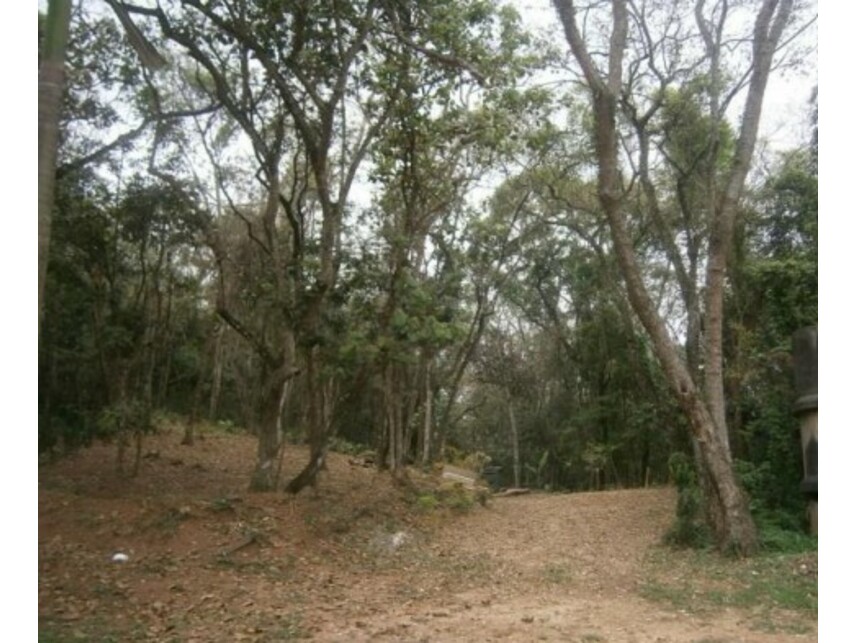 Imagem 4 do Leilão de Terreno - Sitio Tanquinho - Santana de Parnaíba/SP