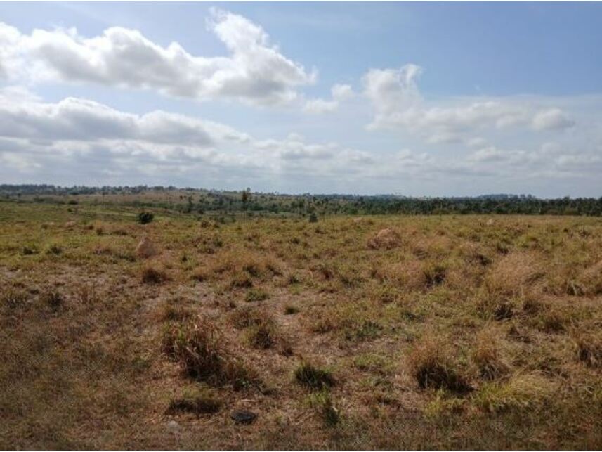 Imagem 6 do Leilão de Área Rural - Gleba Fundação Brasil Central - Piçarra/PA