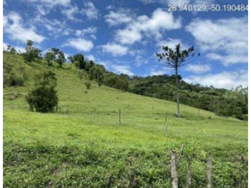 Imagem 1 do Leilão de Área Rural - Zona Rural - Rio do Campo/SC