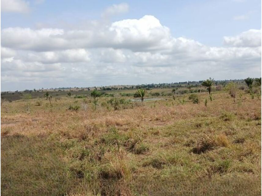 Imagem 10 do Leilão de Área Rural - Gleba Fundação Brasil Central - Piçarra/PA