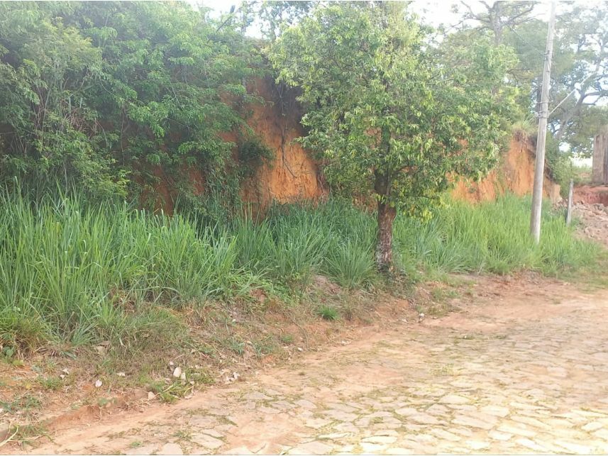 Imagem 3 do Leilão de Terreno - Triângulo - Carangola/MG