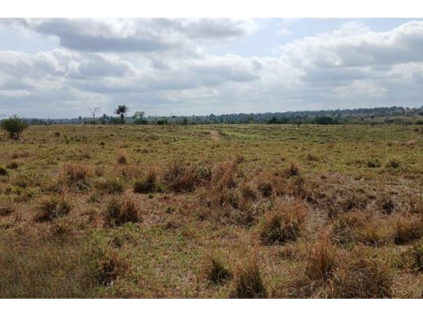 Imagem 8 do Leilão de Área Rural - Gleba Fundação Brasil Central - Piçarra/PA