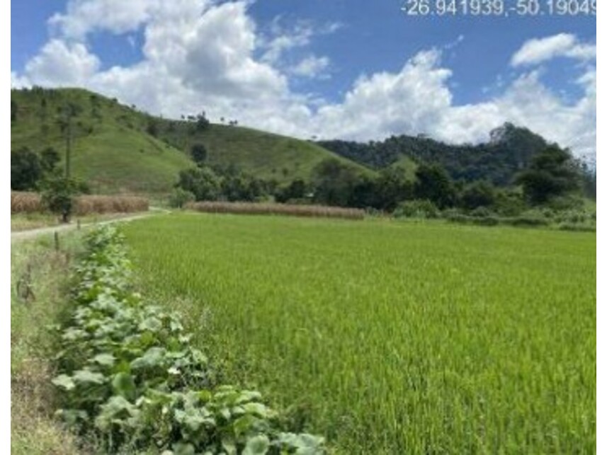 Imagem 7 do Leilão de Área Rural - Zona Rural - Rio do Campo/SC