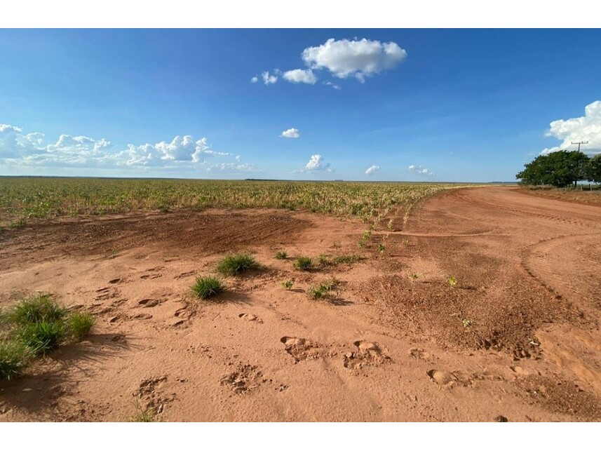 Imagem 3 do Leilão de Área Rural - Zona Rural - Nova Ubiratã/MT