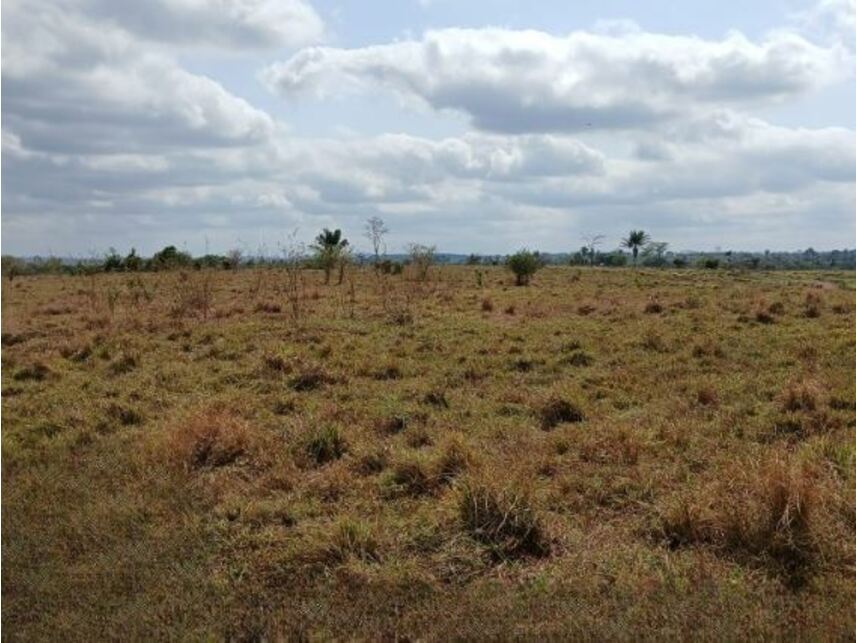 Imagem 5 do Leilão de Área Rural - Gleba Fundação Brasil Central - Piçarra/PA