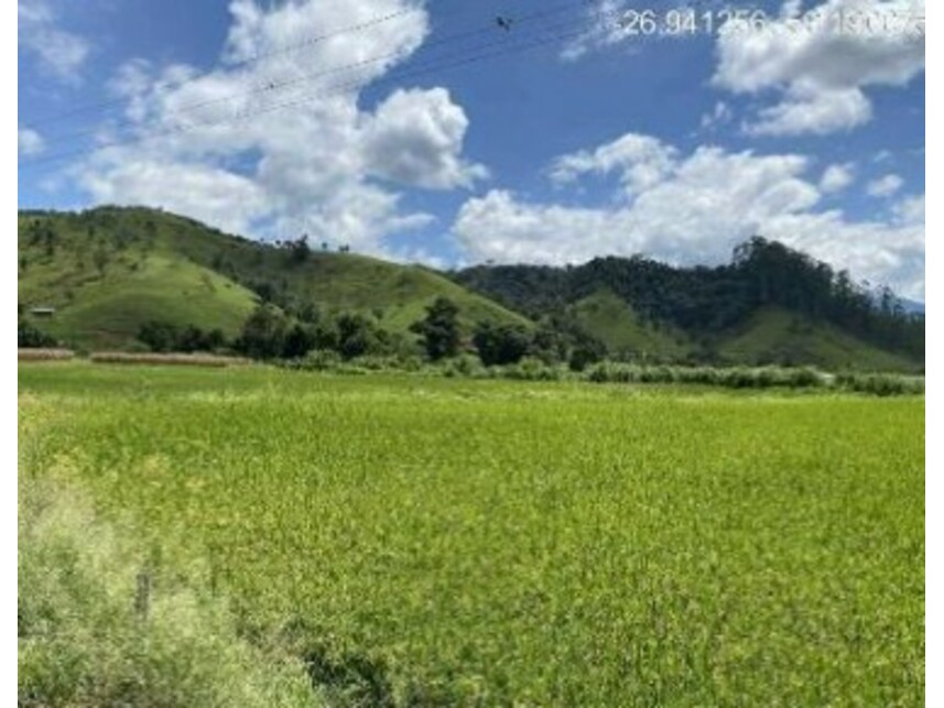 Imagem 4 do Leilão de Área Rural - Zona Rural - Rio do Campo/SC