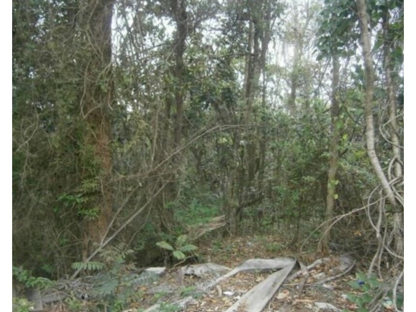 Imagem 3 do Leilão de Terreno - Sitio Tanquinho - Santana de Parnaíba/SP