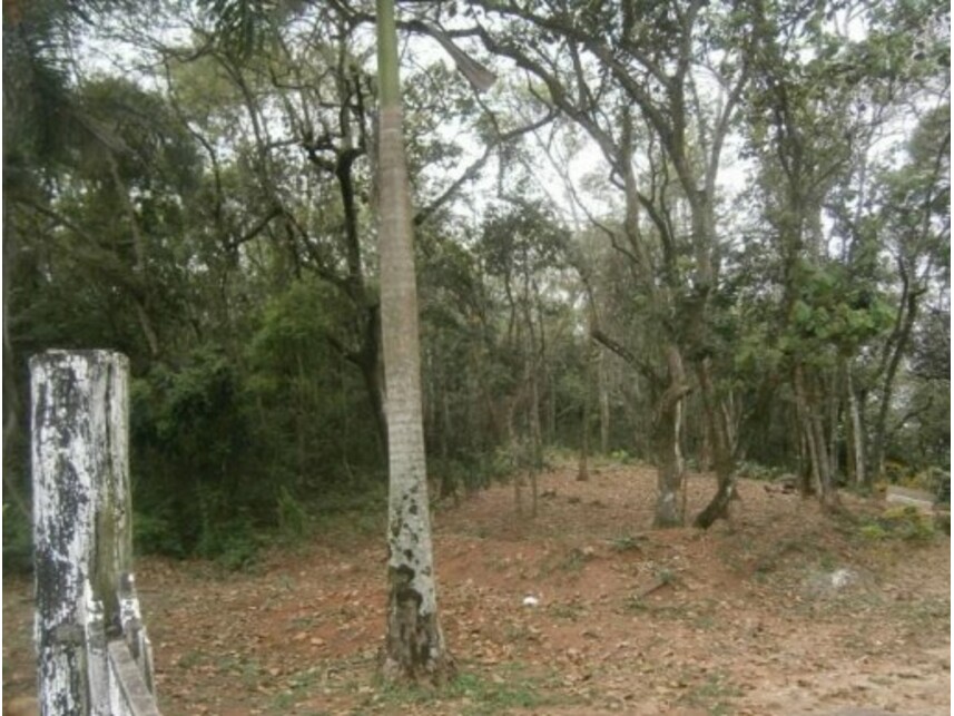 Imagem 5 do Leilão de Terreno - Sitio Tanquinho - Santana de Parnaíba/SP