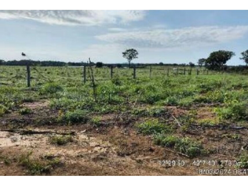 Imagem 10 do Leilão de Área Rural - Zona Rural - Alvorada/TO