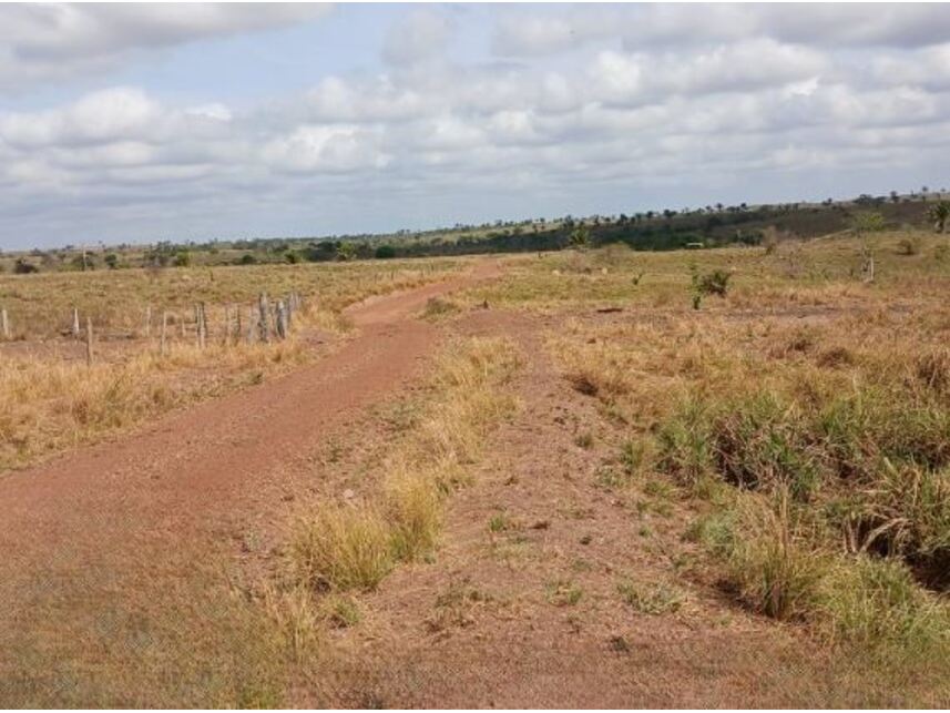 Imagem 3 do Leilão de Área Rural - Gleba Fundação Brasil Central - Piçarra/PA