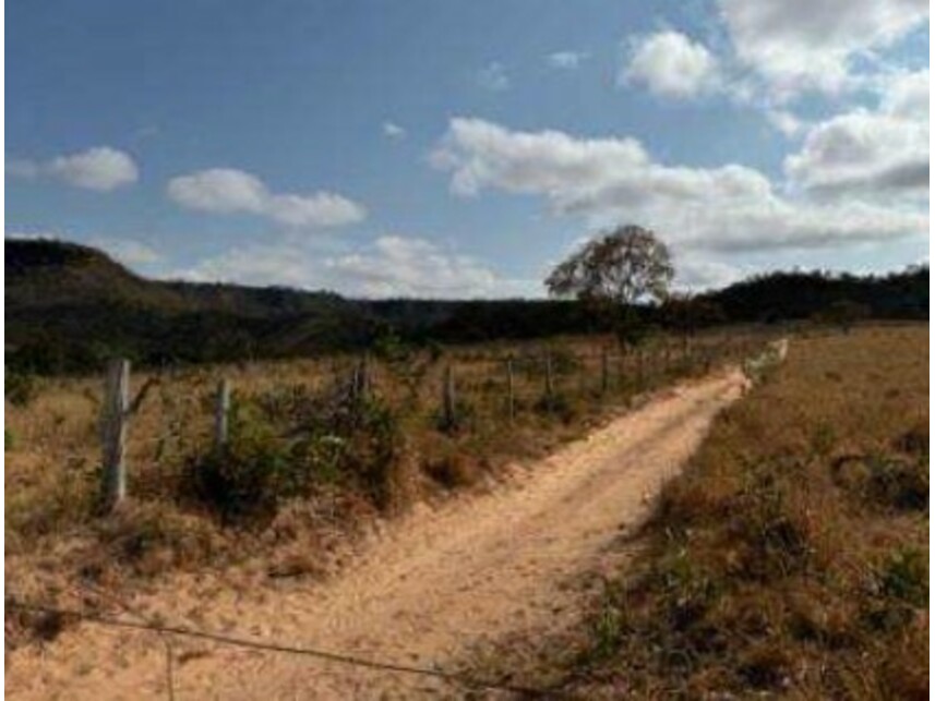 Imagem 5 do Leilão de Área Rural - Zona Rural - Presidente Olegário/MG