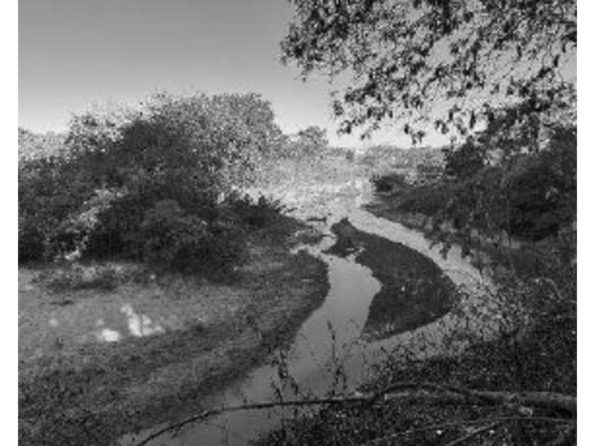 Imagem 11 do Leilão de Fazenda - Figueira do Rio Doce - Governador Valadares/MG