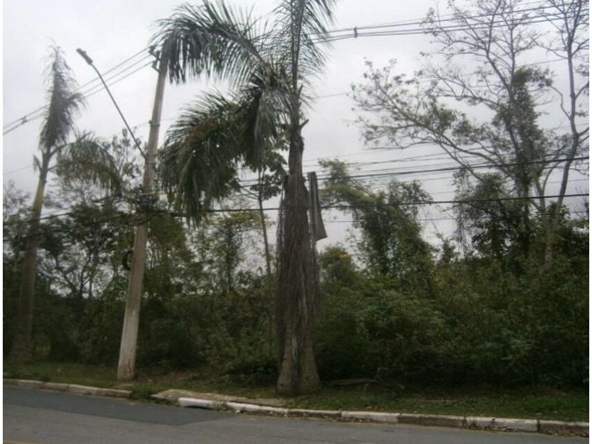 Imagem 2 do Leilão de Terreno - Sitio Tanquinho - Santana de Parnaíba/SP