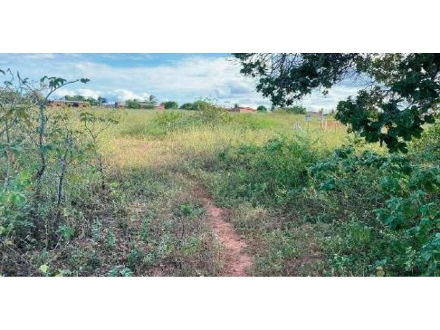 Imagem 3 do Leilão de Terreno - Pé da Serra - Areia Branca/RN