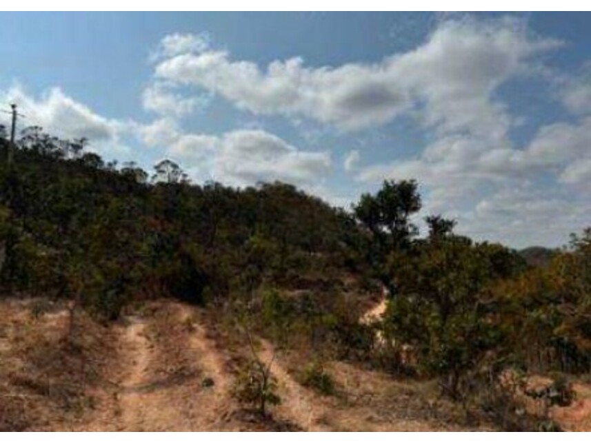 Imagem 2 do Leilão de Área Rural - Zona Rural - Presidente Olegário/MG