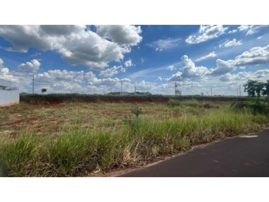 Imagem 3 do Leilão de Terreno - Residencial Salto do Monjolinho - São Carlos/SP