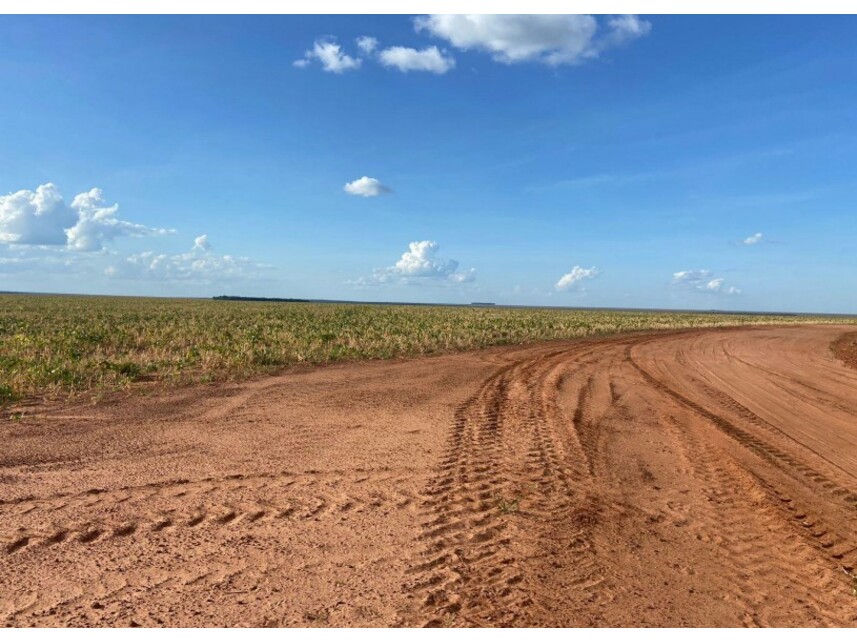 Imagem 12 do Leilão de Área Rural - Zona Rural - Nova Ubiratã/MT