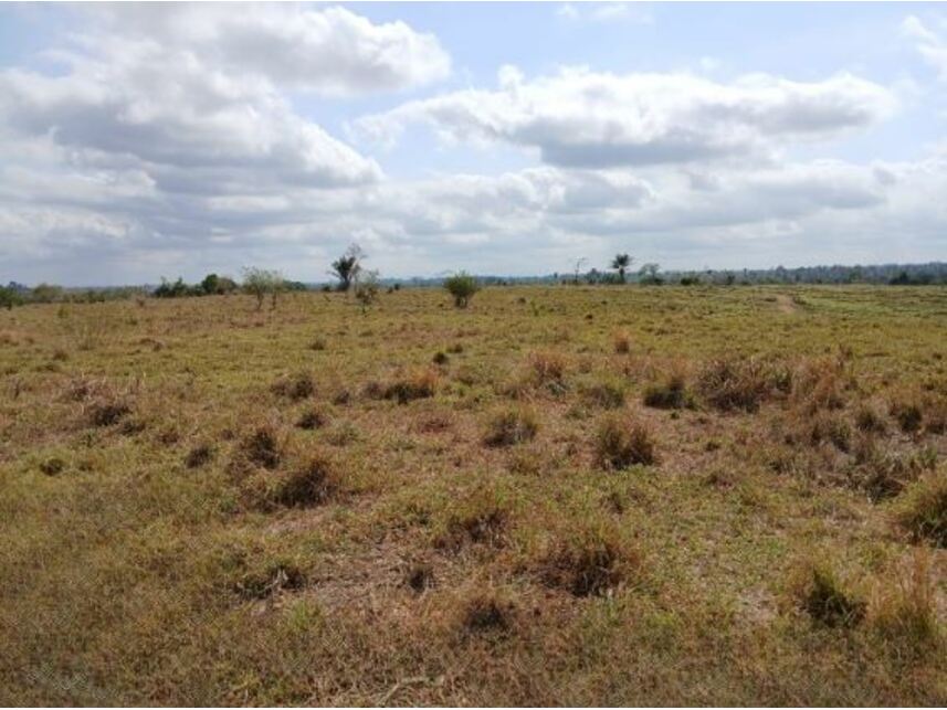 Imagem 9 do Leilão de Área Rural - Gleba Fundação Brasil Central - Piçarra/PA