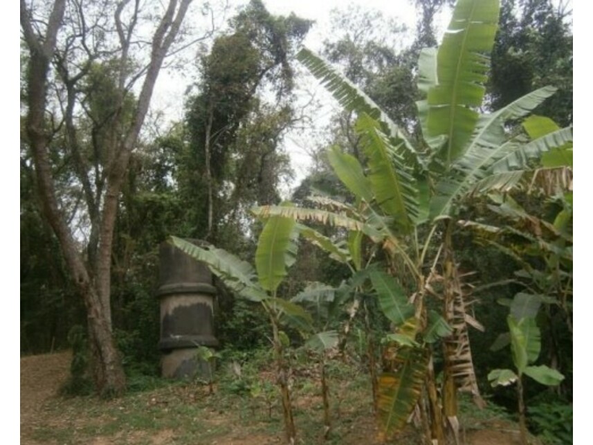 Imagem 6 do Leilão de Terreno - Sitio Tanquinho - Santana de Parnaíba/SP