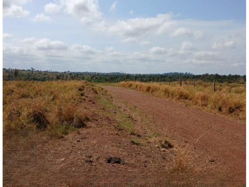 Imagem 7 do Leilão de Área Rural - Gleba Fundação Brasil Central - Piçarra/PA