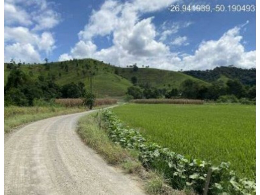 Imagem 8 do Leilão de Área Rural - Zona Rural - Rio do Campo/SC