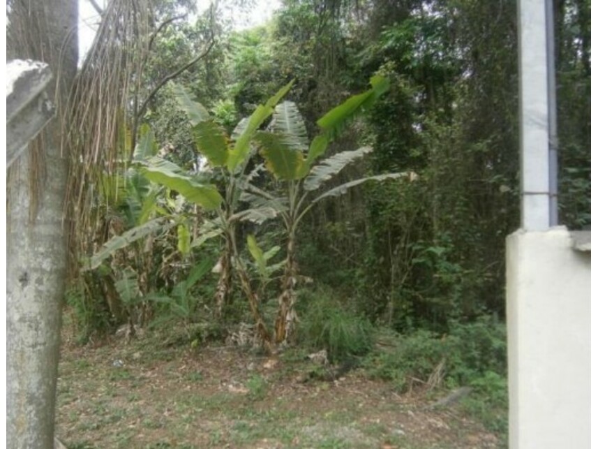 Imagem 7 do Leilão de Terreno - Sitio Tanquinho - Santana de Parnaíba/SP