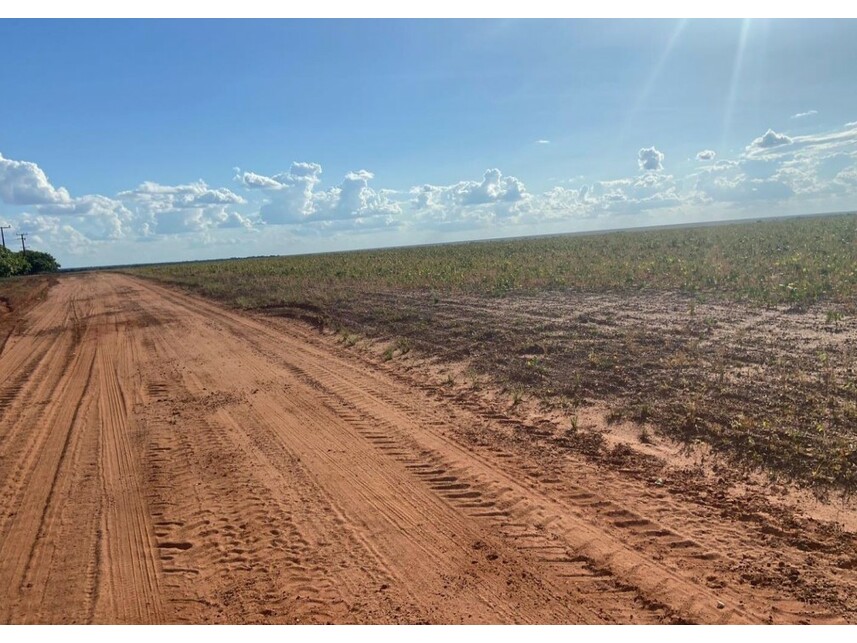 Imagem 10 do Leilão de Área Rural - Zona Rural - Nova Ubiratã/MT