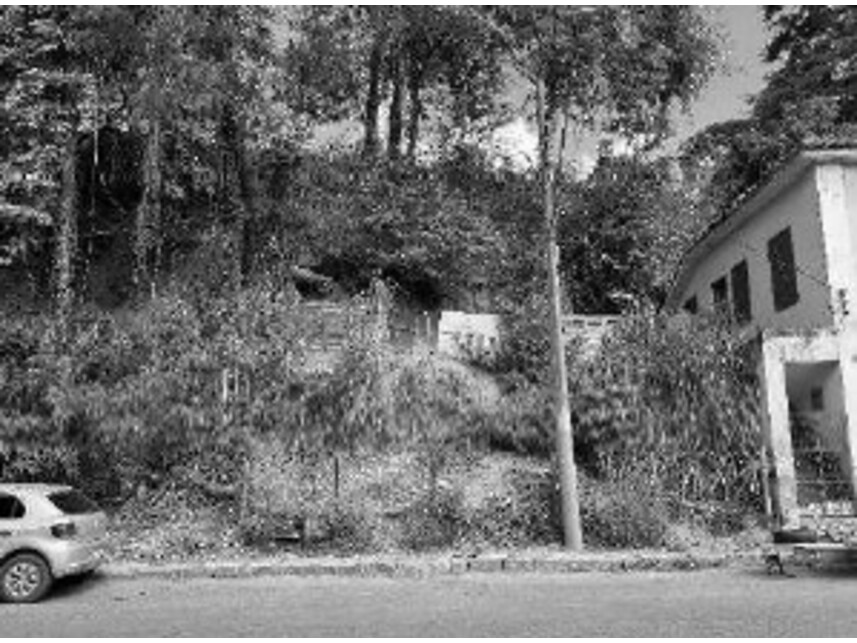 Imagem 1 do Leilão de Terreno - Triângulo - Carangola/MG