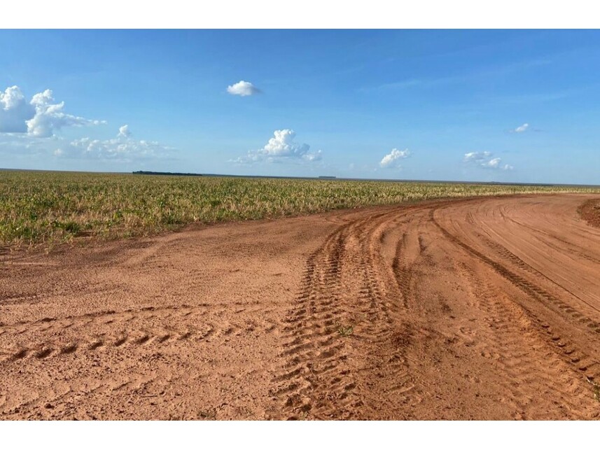 Imagem 5 do Leilão de Área Rural - Zona Rural - Nova Ubiratã/MT