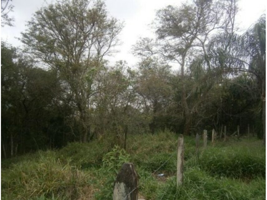 Imagem 10 do Leilão de Terreno - Sitio Tanquinho - Santana de Parnaíba/SP