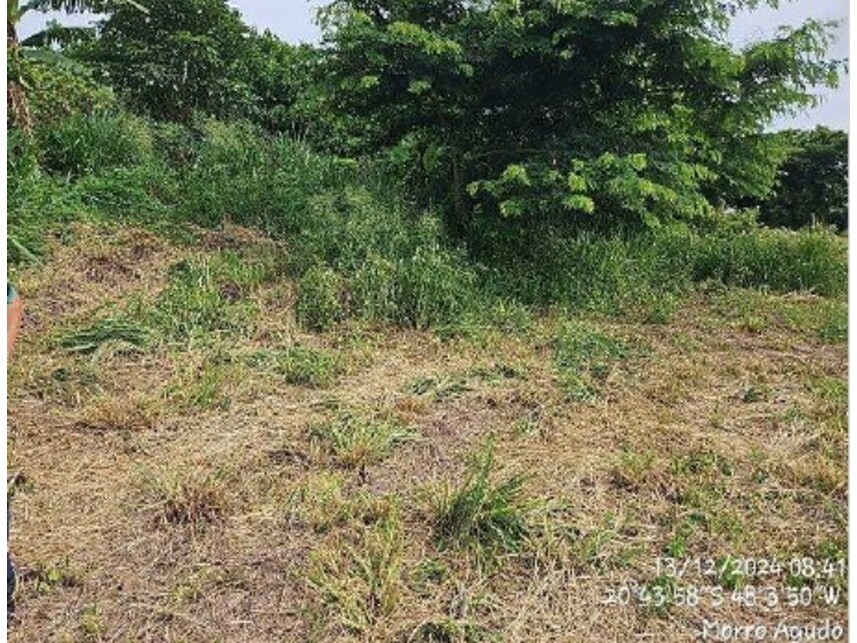 Imagem 7 do Leilão de Terreno - Centro - Morro Agudo/SP
