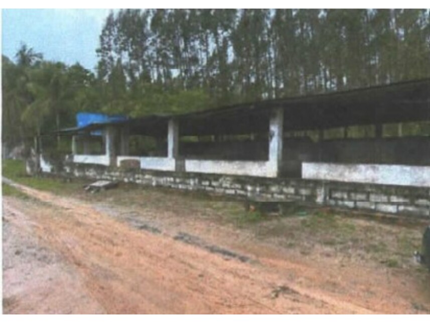 Imagem 4 do Leilão de Fazenda - Povoado de Cabuçu - Entre Rios/BA