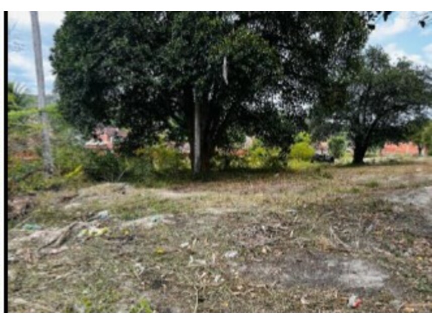 Imagem 5 do Leilão de Terreno - Mangalô - Alagoinhas/BA