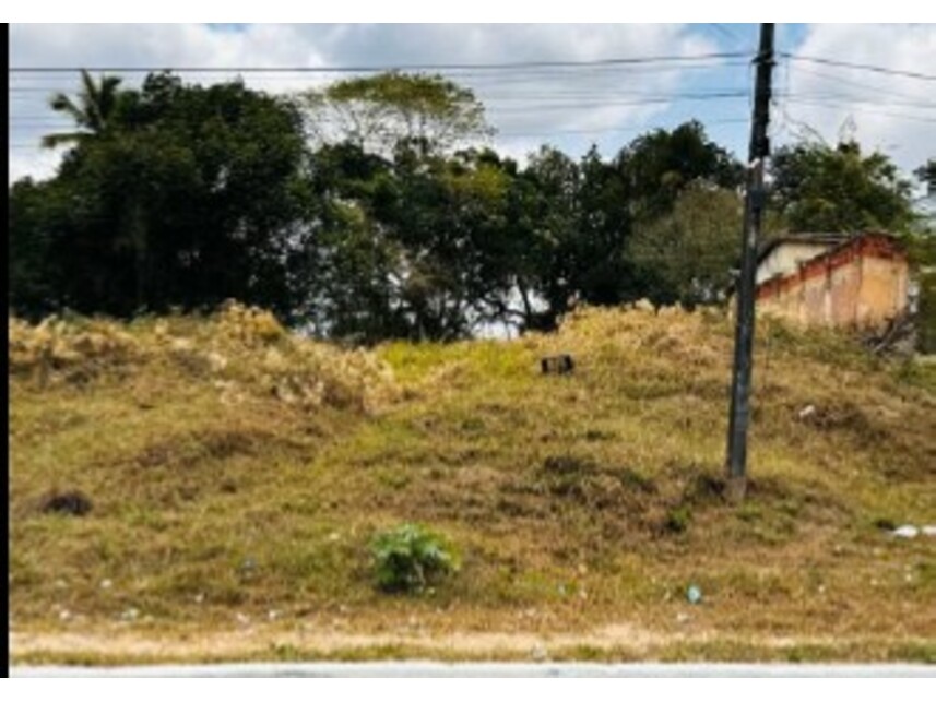Imagem 8 do Leilão de Terreno - Mangalô - Alagoinhas/BA