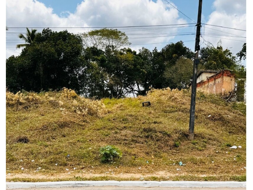 Imagem 2 do Leilão de Terreno - Mangalô - Alagoinhas/BA