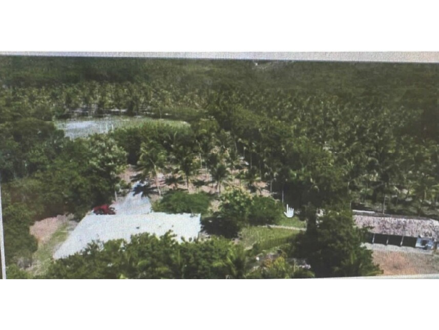 Imagem 14 do Leilão de Fazenda - Povoado de Cabuçu - Entre Rios/BA