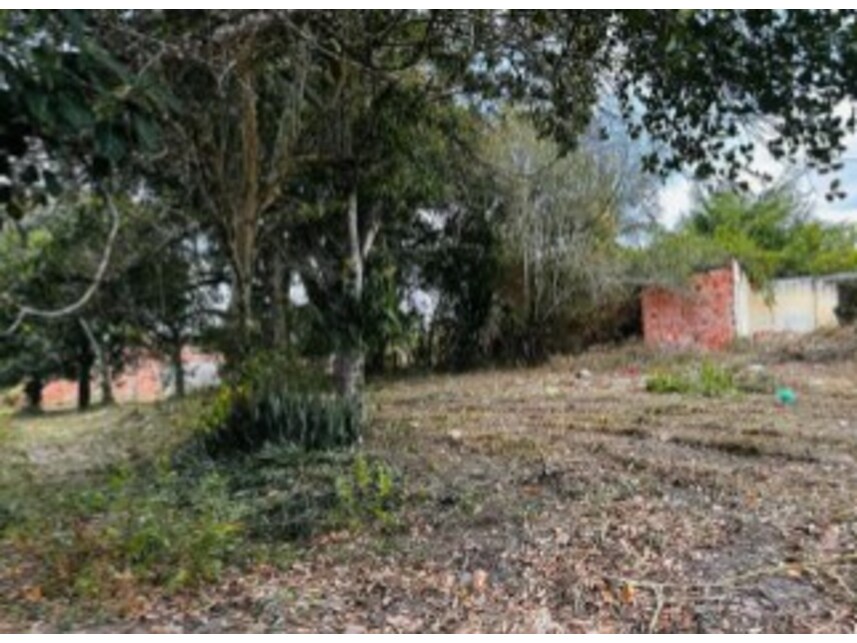 Imagem 6 do Leilão de Terreno - Mangalô - Alagoinhas/BA