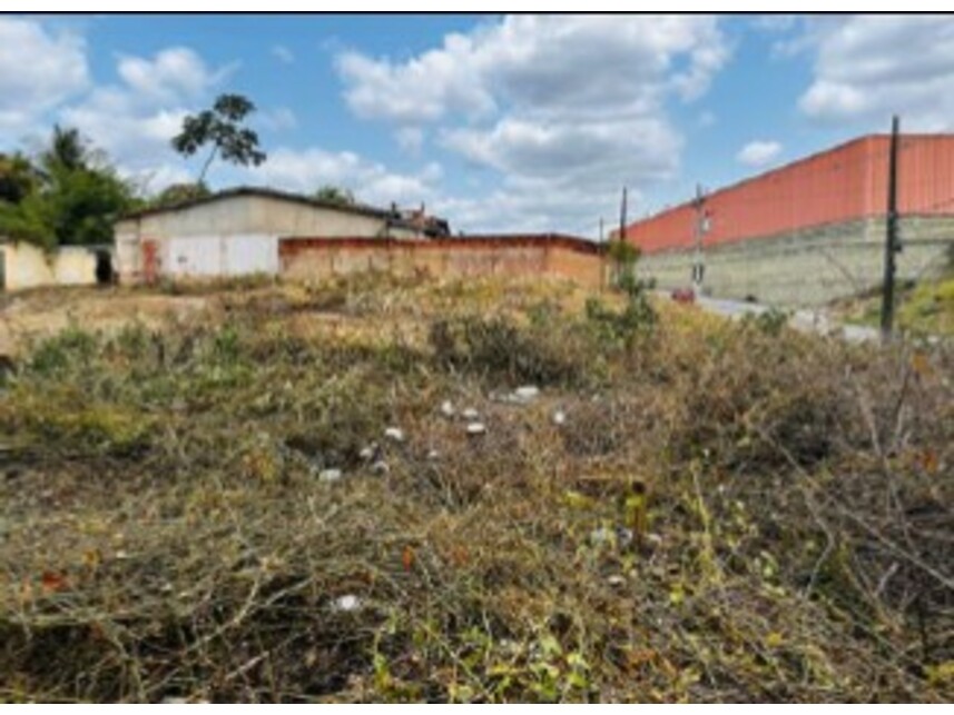 Imagem 7 do Leilão de Terreno - Mangalô - Alagoinhas/BA