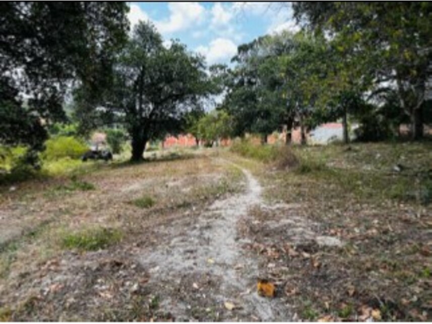 Imagem 4 do Leilão de Terreno - Mangalô - Alagoinhas/BA